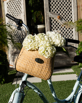 Woven bike basket filled with white flowers.